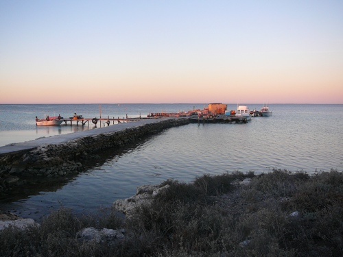 STONE JETTY , BIG RAT .